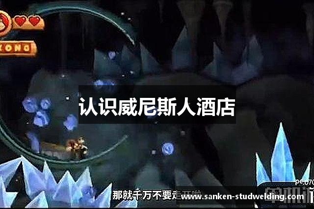 认识威尼斯人酒店